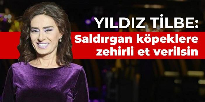 Yıldız Tilbe: Saldırgan köpeklere zehirli et verilsin