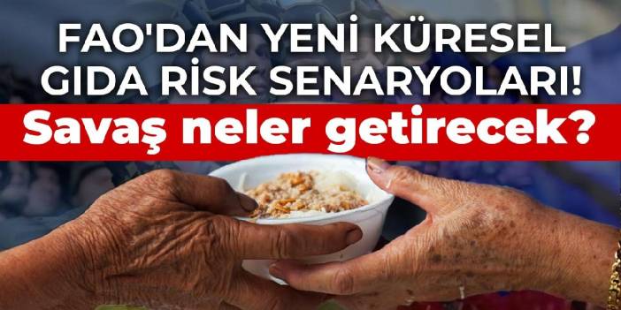 FAO'dan yeni küresel gıda risk senaryoları! Savaş neler getirecek?