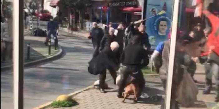 Pitbull silah sayıldı: Şüpheli hakkında 3 yıla kadar hapis istendi