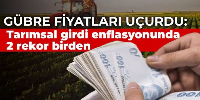 Gübre fiyatları uçurdu: Tarımsal girdi enflasyonunda 2 rekor birden