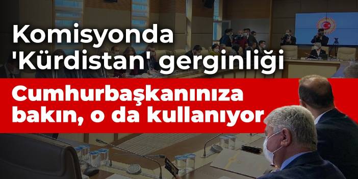 Komisyonda 'Kürdistan' gerginliği: Cumhurbaşkanınıza bakın, o da kullanıyor