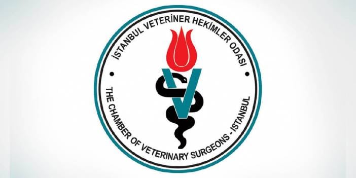 İstanbul Veteriner Hekimler Odası: Sorunların asıl nedenleriyle yüzleşmeden çözüm imkansızdır