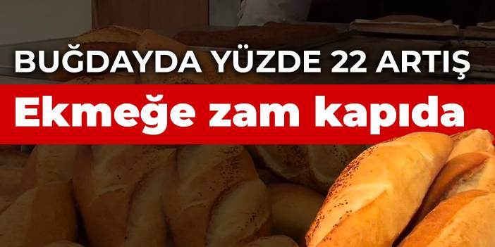 Buğdayda yüzde 22 artış! Ekmeğe zam kapıda