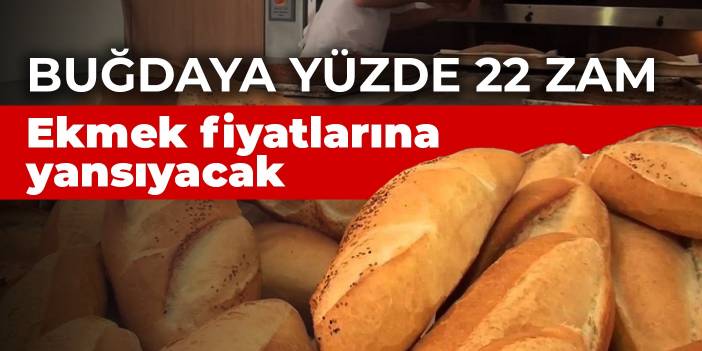 Buğdaya yüzde 22 zam: Ekmek fiyatlarına yansıyacak