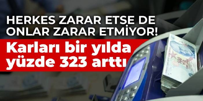 Herkes zarar etse de onlar zarar etmiyor! Karları bir yılda yüzde 323 arttı