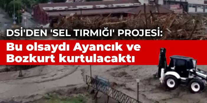 DSİ'den 'Sel Tırmığı' projesi: Bu olsaydı Ayancık ve Bozkurt kurtulacaktı