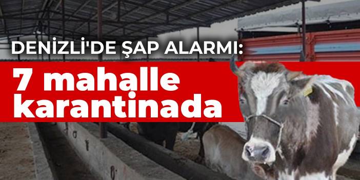 Denizli'de şap alarmı: 7 mahalle karantinada