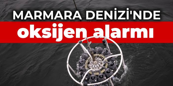 Marmara Denizi'nde oksijen alarmı