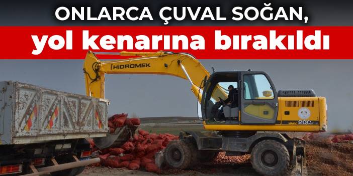 Onlarca çuval soğan, yol kenarına bırakıldı