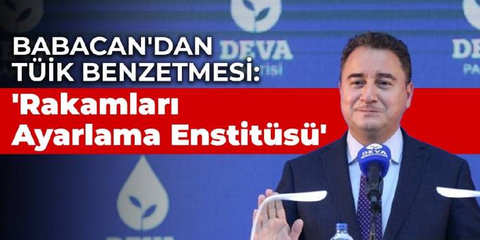 Babacan'dan TÜİK benzetmesi: 'Rakamları Ayarlama Enstitüsü'