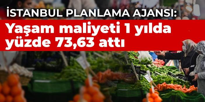 İstanbul Planlama Ajansı: Yaşam maliyeti 1 yılda yüzde 73,63 attı