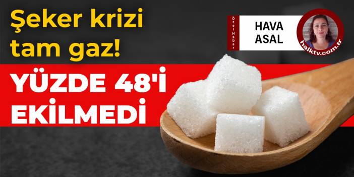 Şeker krizi tam gaz! Yüzde 48'i ekilmedi