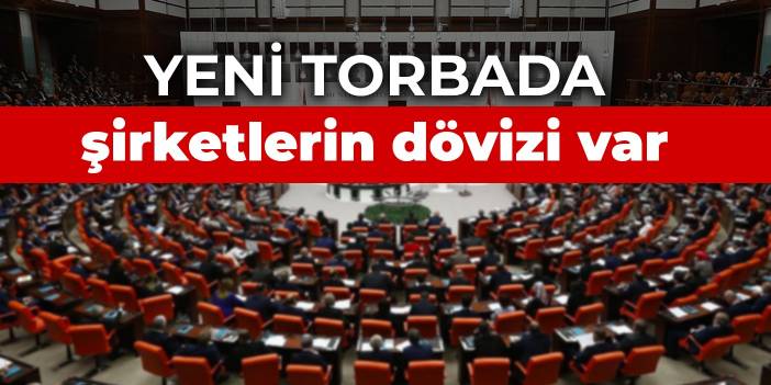 Döviz açığını kapatmak giderek zorlaşıyor! Yeni torbada şirketlerin dövizi var