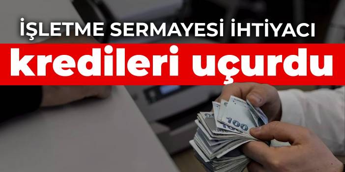 İşletme sermayesi ihtiyacı kredileri uçurdu