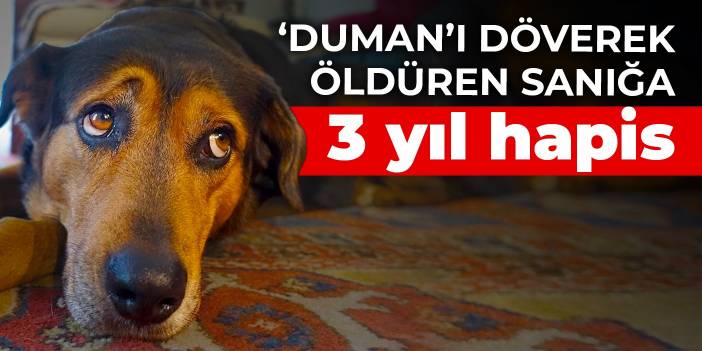 'Duman'ı döverek öldüren sanığa 3 yıl hapis