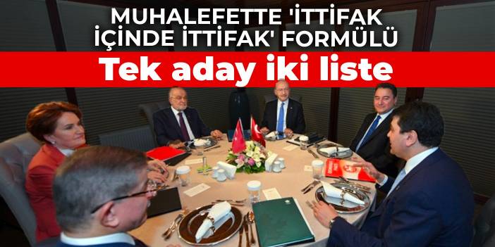 Muhalefette 'ittifak içinde ittifak' formülü: Tek aday iki liste