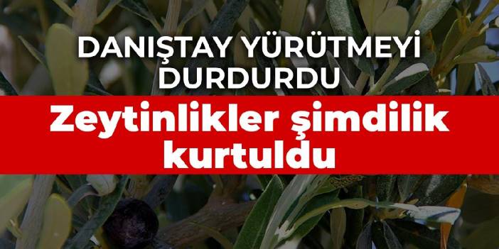 Zeytinlikler şimdilik kurtuldu: Danıştay yürütmeyi durdurdu