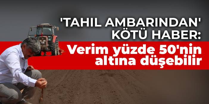 'Tahıl ambarından' kötü haber: Verim yüzde 50'nin altına düşebilir