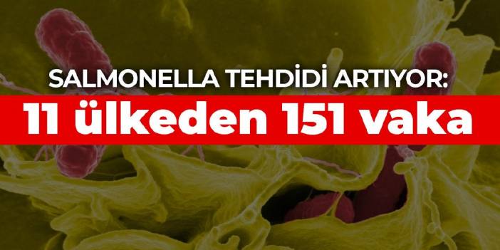 Salmonella tehdidi artıyor: 11 ülkeden 151 vaka