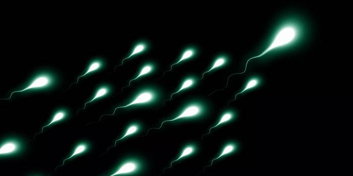 Sperm kalitesi için uzak durulması gereken besinler