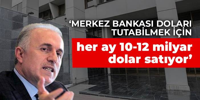 Babuşcu: Merkez Bankası doları tutabilmek için her ay 10-12 milyar dolar satıyor