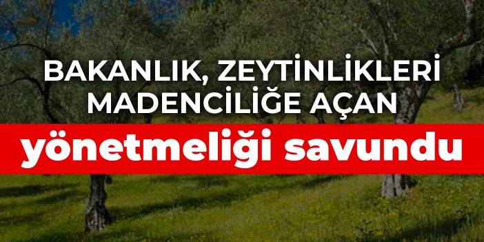 Bakanlık, zeytinlikleri madenciliğe açan yönetmeliği savundu