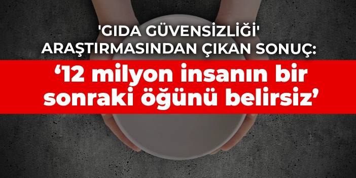 'Gıda Güvensizliği' araştırmasından çıkan sonuç: ‘12 milyon insanın bir sonraki öğünü belirsiz’