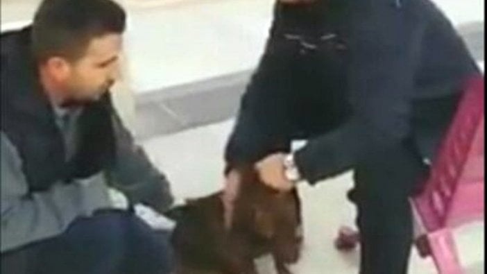 Metroda köpek kurtarma operasyonu