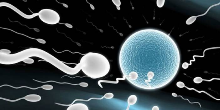 Erkeklerin aldığı besinler sperm kalitesini etkiliyor: İşte o gıdalar!