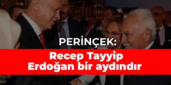 Perinçek: Recep Tayyip Erdoğan bir aydındır