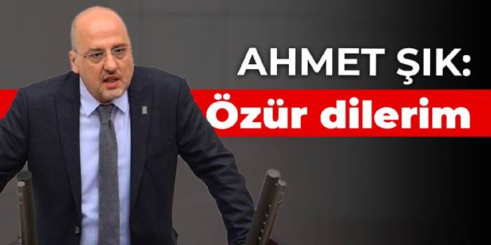 Ahmet Şık: Özür dilerim