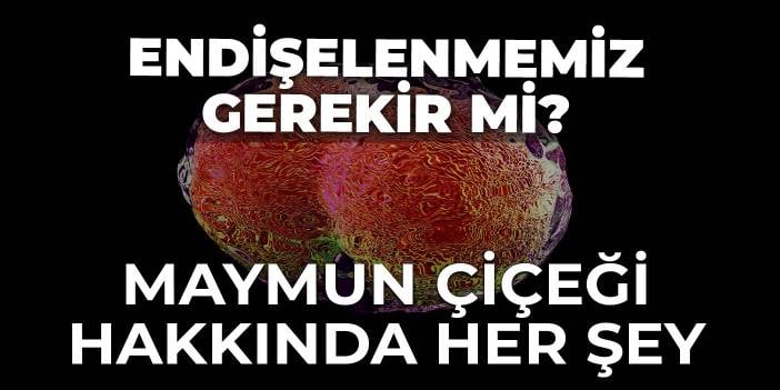 Endişelenmemiz gerekir mi? Maymun çiçeği hakkında her şey