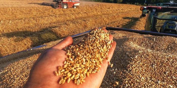 Tahıl koridoru kapandı, buğday fiyatları yüzde 5’in üzerinde arttı