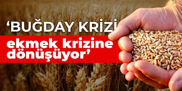 Yıldırım: Buğday krizi ekmek krizine dönüşüyor