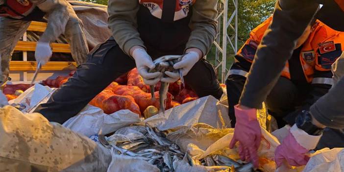 Kaçak avlanan 11 ton inci kefali ele geçirdi