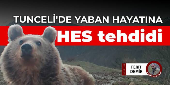 Tunceli'de yaban hayatına HES tehdidi