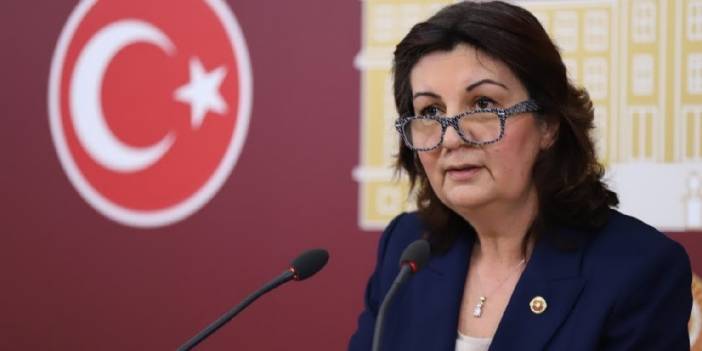 Lale Karabıyık: MEB yetkilerini vakıflara, derneklere teslim etti