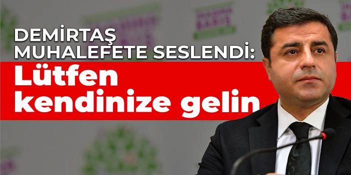 Demirtaş muhalefete seslendi: Lütfen kendinize gelin