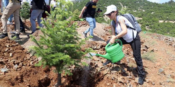 Salda Gölü kenarına 300 fidan dikildi