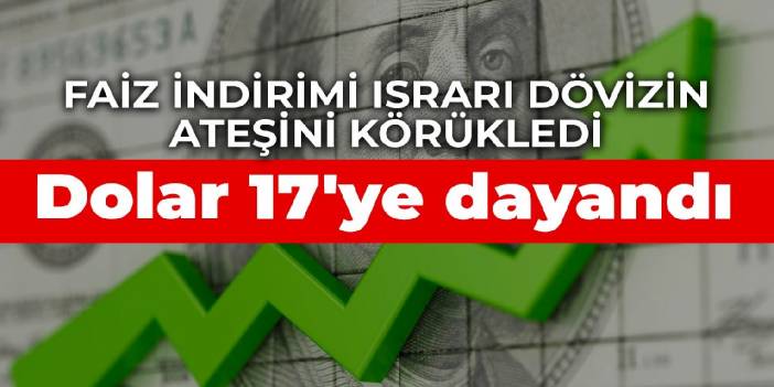 Faiz indirimi ısrarı dövizin ateşini körükledi: Dolar 17 TL'ye dayandı