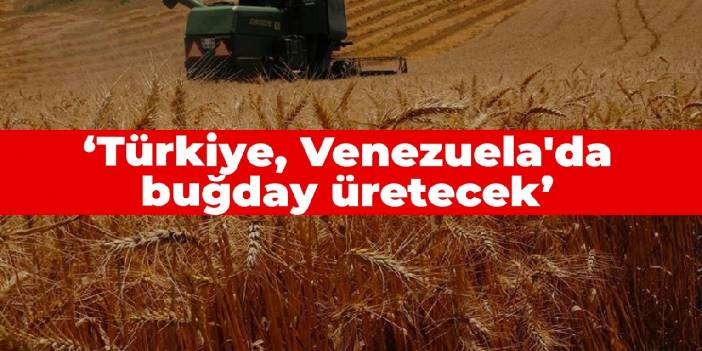 Bakan Kirişçi: Türkiye, Venezuela'da buğday üretecek