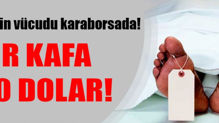 Fakirlerin vücudu karaborsada! Bir kafa 500 dolar!