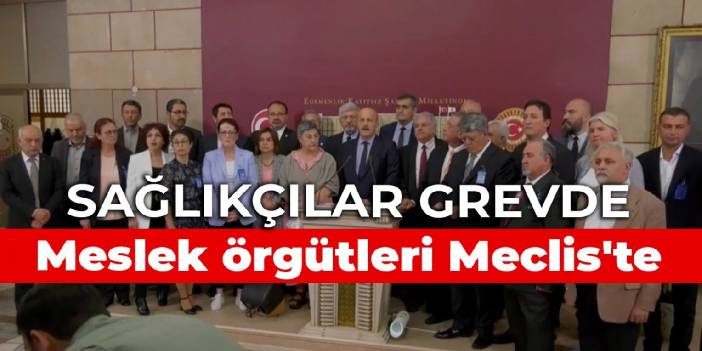 Sağlıkçılar grevde, meslek örgütleri Meclis'te: Sağlıkçının bütçesi şehir hastanesine gitti