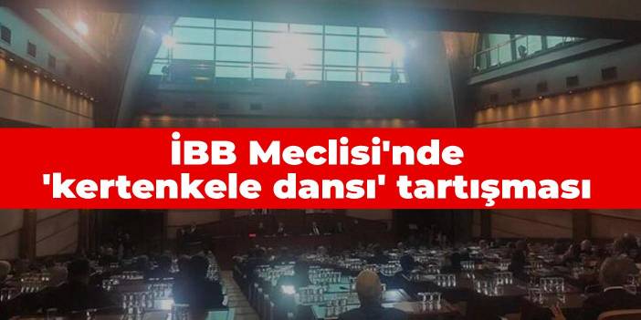 İBB Meclisi'nde 'kertenkele dansı' tartışması