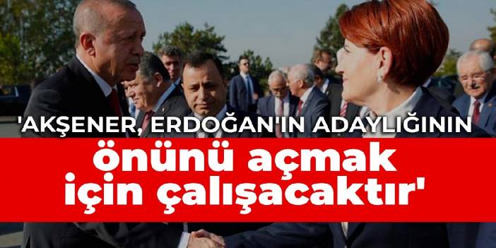 'Akşener, Erdoğan'ın adaylığının önünü açmak için çalışacaktır'