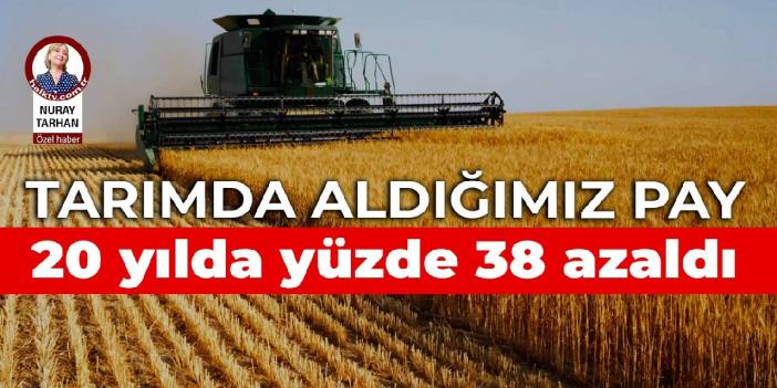 Tarımda aldığımız pay 20 yılda yüzde 38 azaldı