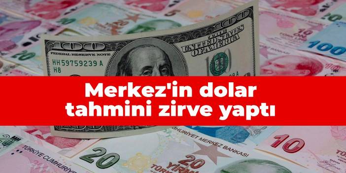 Merkez'in dolar tahmini zirve yaptı