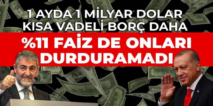 1 ayda 1 milyar dolar kısa vadeli borç daha: %11 faiz de onları durduramadı