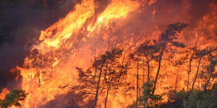 Muğla Cumhuriyet Başsavcılığı'ndan yangına ilişkin soruşturma