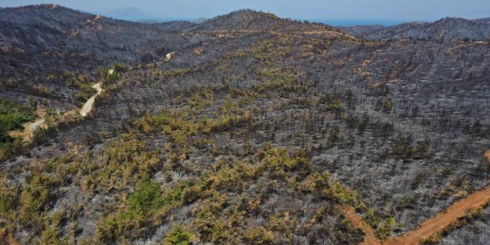 AFAD'dan Marmaris uyarısı